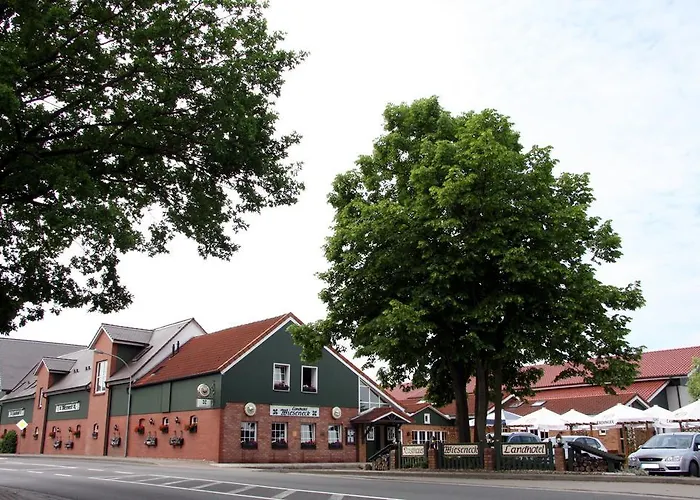 Wieseneck Πανσιόν Apenburg-Winterfeld